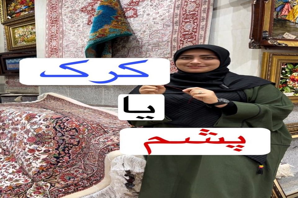 کرک یا پشم؟
